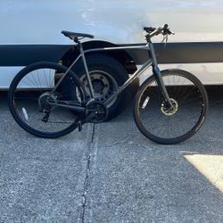 Giant Escape XL3