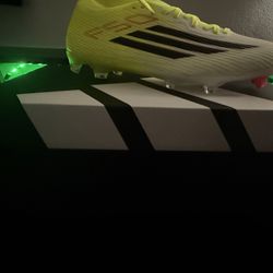 F50 Size 8