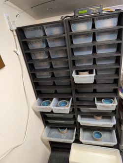 Reptile hatchling rack