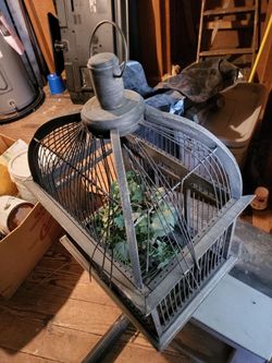 Birdcage needs little repair.