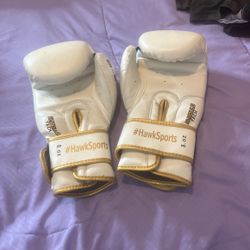 8.oz Boxing Gloves