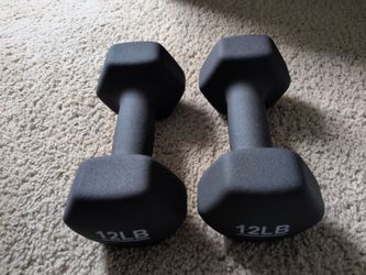 12 lb dumbbell pair
