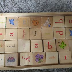 Pottery Barn Kids Alphabet Blocks with Wood Storage Case

