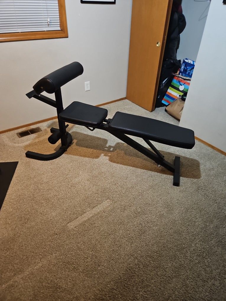 FREE Weight Bench