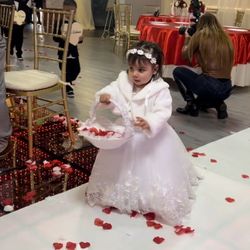 Flower Girl Dress 2T