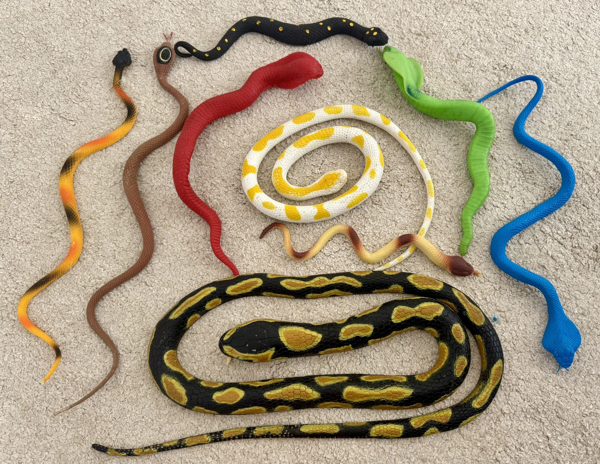 Snake Set
