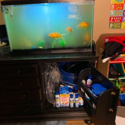 Fish, Tank, Cleaning Supplies And Food.