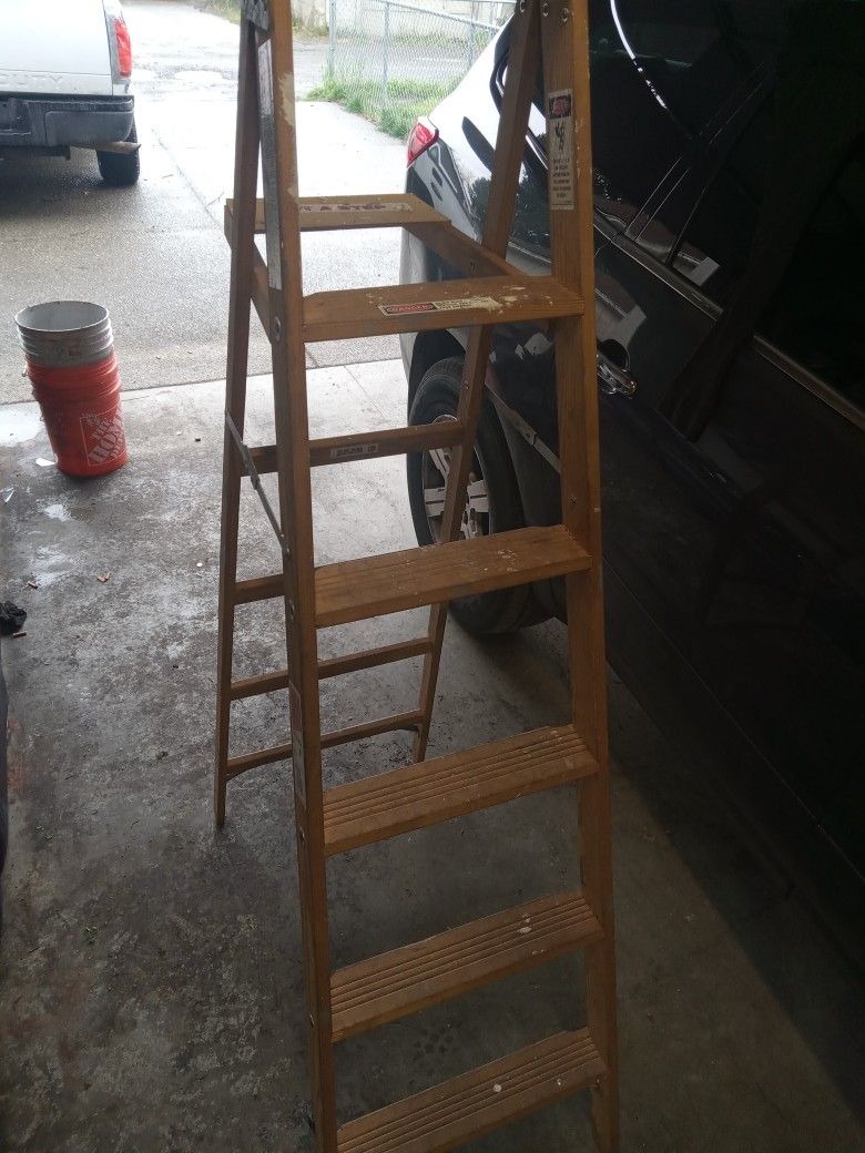 Werner 6 Ft  Ladder 