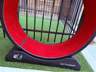 Cat treadmill