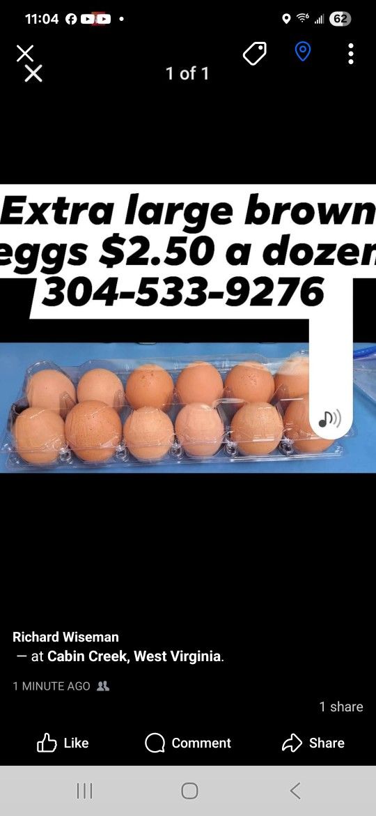 Extra Large Brown Eggs Farm Fresh