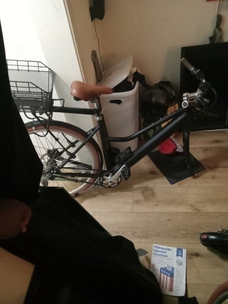 Electric Bike