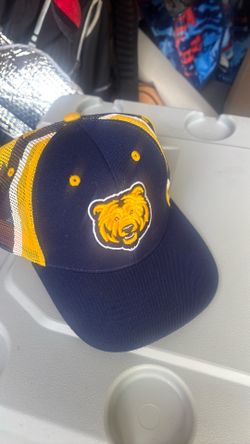 hats- bears