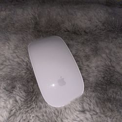 Magic Mouse 