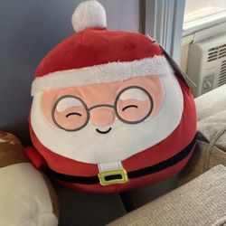 Squishmallow 
