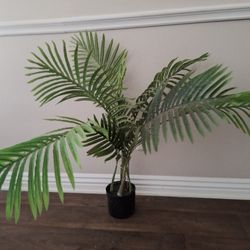 Faux Plant 