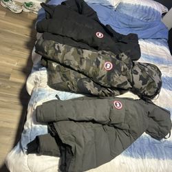 Canada Goose 