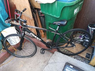 Giant bike