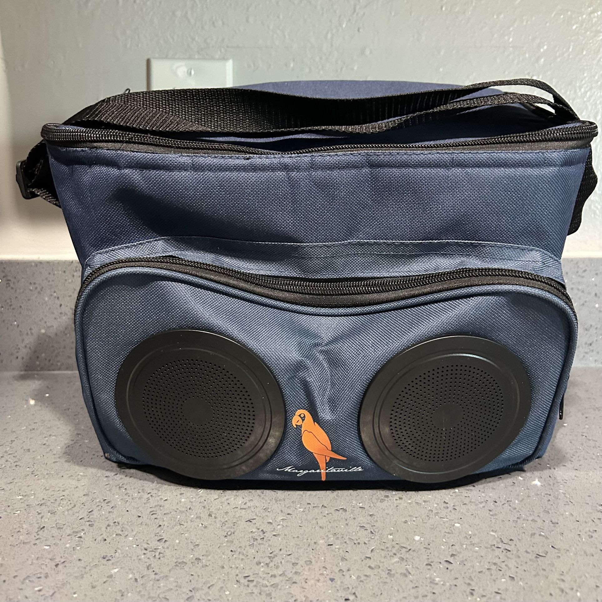 Insulated Cooler Lunch Carrying Bag With Bluetooth Speakers
