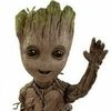 GROOT 