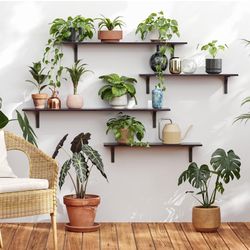 NEW Long Wall Shelves
