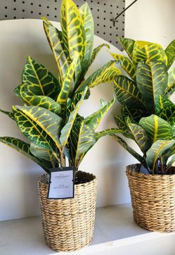 Artificial Plants New 