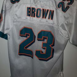 Dolphins Ronnie Brown Jersey 