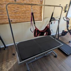 Paw Brothers 4' x 2' Hydraulic Grooming Table