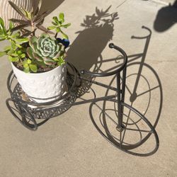 Large Succulent Bike Planters
