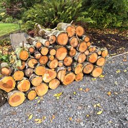 free firewood