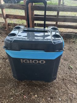 Igloo ice chest