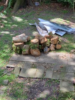 Free oak wood cut