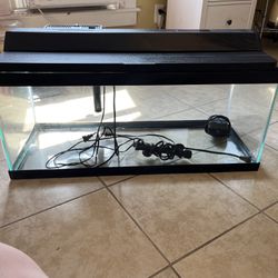 40 Gallon Fish Tank With All Fixings