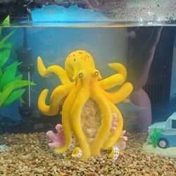 10 Gallon Aquarium With 3 Fishes