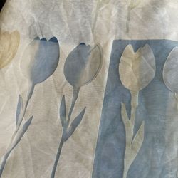 Drylon Assortment Of Shower Curtains Price Is For Each Or 2 For $10.00