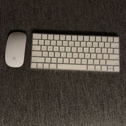 Apple Mouse And Keyboard Like New 