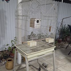 NICE BIRD CAGE............BONITA JAULA PARA PAJAROS 