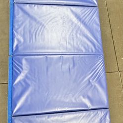  Mats 4 ft x 10 ft x 2 in Personal Fitness & Exercise Mat, Lightweight and Folds for Carrying