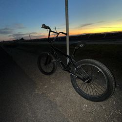 20 Inch All Black Elite BMX Bike  Best Offer