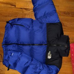 Northface Jacket (700) 