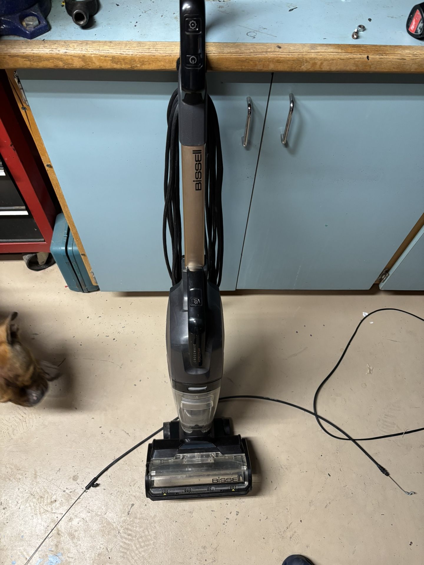 BISSELL CrossWave HydroSteam Plus Steam Cleaner - 3515: Electric Floor Steamer, Pet Hair, LED, 25ft Cord, 828ml Tank