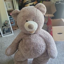 Huge Stuffed Bear
