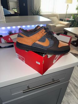 Nike dunk ciders 10.5
