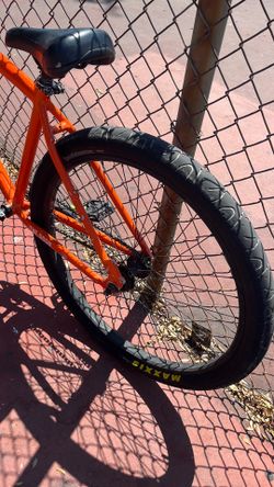 orange palm 29ner everything is good price is negotiable