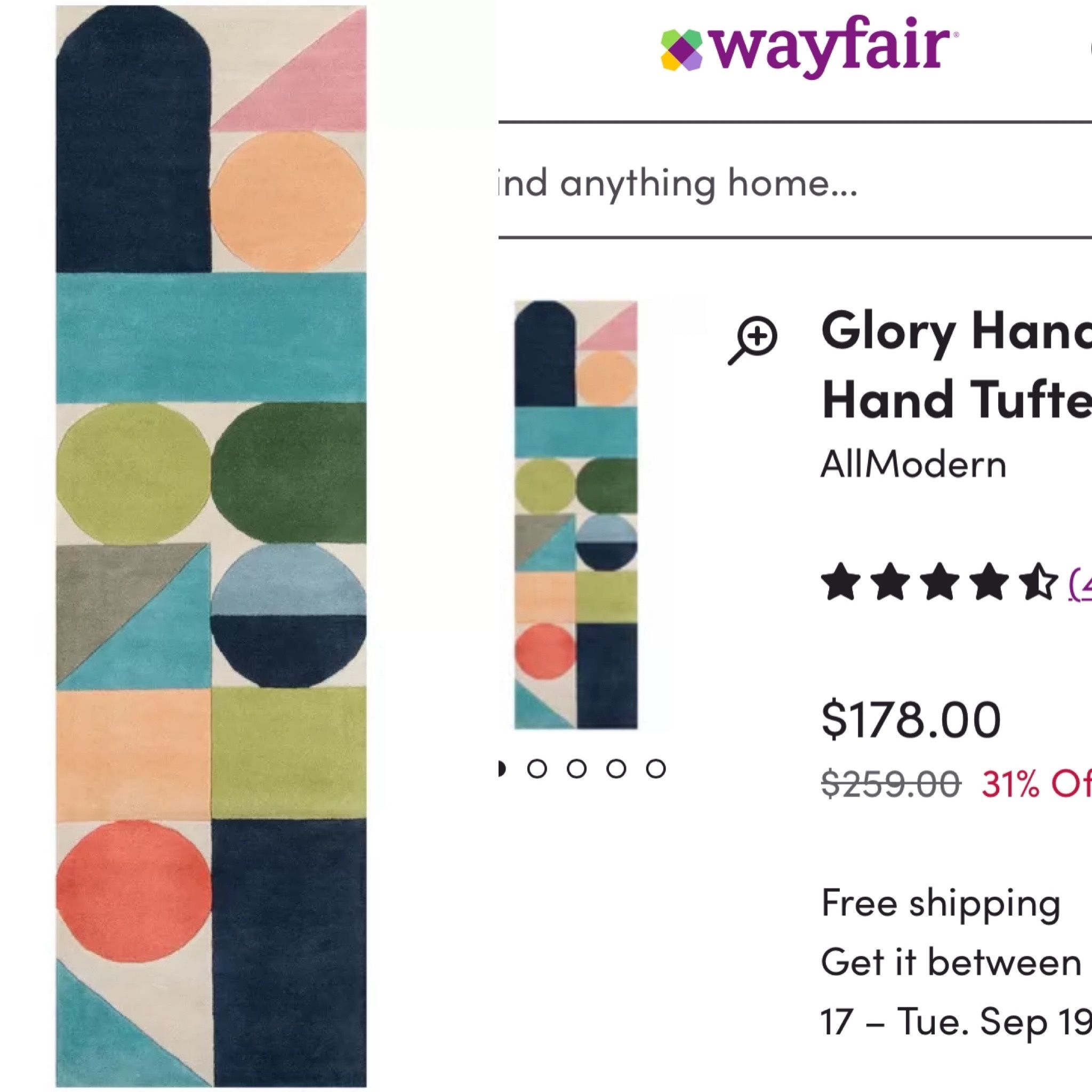 Wayfair New Rug Runner
