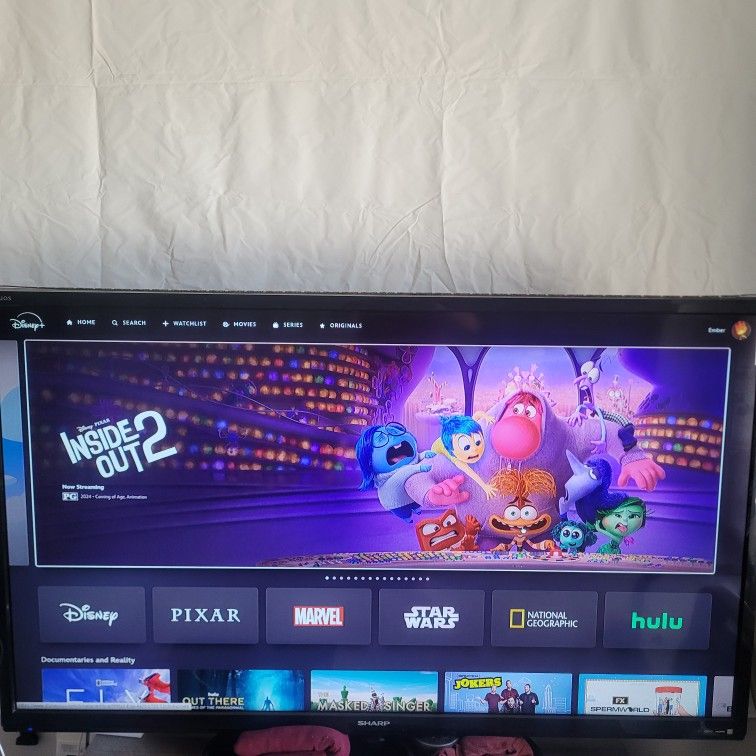 60 Inch TV - $70