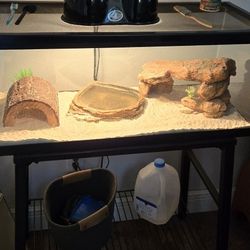 Turtle, Dragon, Reptile, Fish Aquarium 