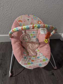 Baby Bouncer