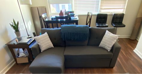 Gray L-Shaped Sleeper Sectional with Storage Chaise – Devion Furniture