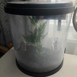 Fish tank 