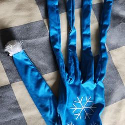 Winter Cat Toy Glove